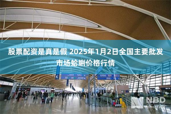 股票配资是真是假 2025年1月2日全国主要批发市场蛤蜊价格行情