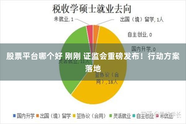 股票平台哪个好 刚刚 证监会重磅发布！行动方案落地