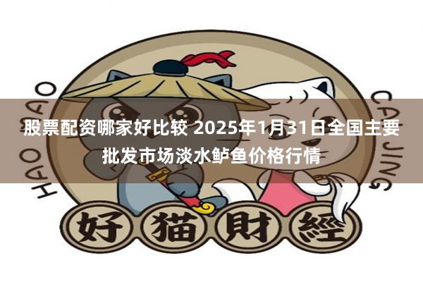 股票配资哪家好比较 2025年1月31日全国主要批发市场淡水鲈鱼价格行情