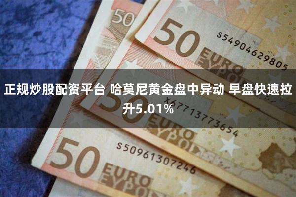 正规炒股配资平台 哈莫尼黄金盘中异动 早盘快速拉升5.01%
