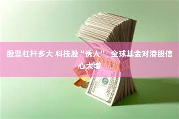 股票杠杆多大 科技股“诱人”  全球基金对港股信心大增