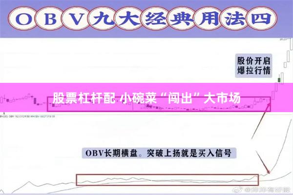 股票杠杆配 小碗菜“闯出”大市场