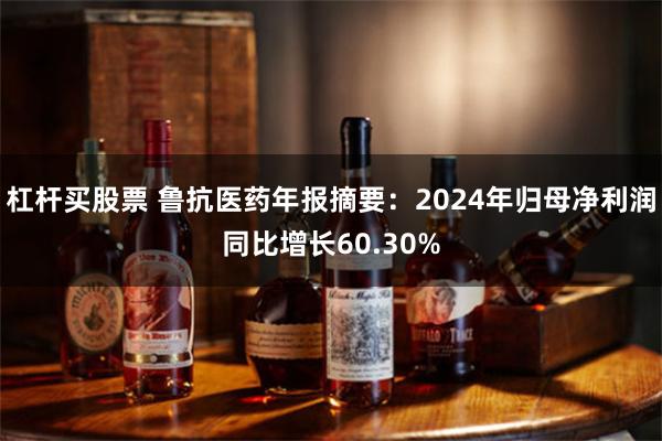 杠杆买股票 鲁抗医药年报摘要：2024年归母净利润同比增长60.30%