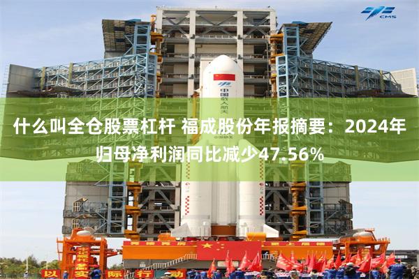 什么叫全仓股票杠杆 福成股份年报摘要：2024年归母净利润同比减少47.56%