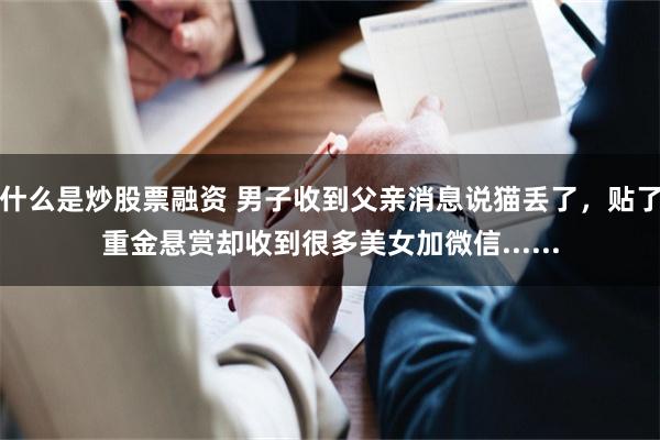 什么是炒股票融资 男子收到父亲消息说猫丢了，贴了重金悬赏却收到很多美女加微信......