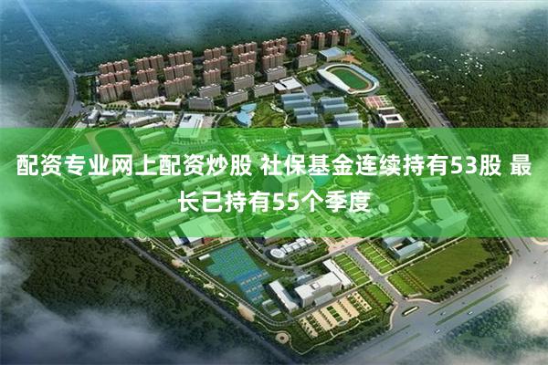 配资专业网上配资炒股 社保基金连续持有53股 最长已持有55个季度