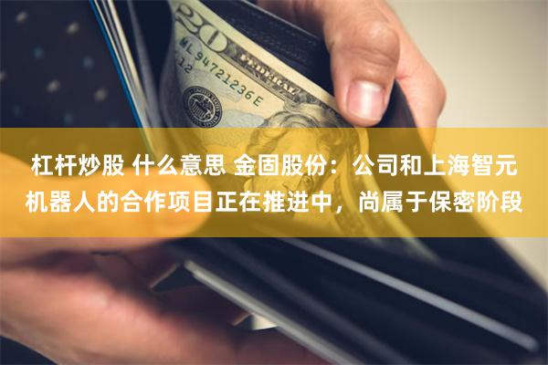 杠杆炒股 什么意思 金固股份：公司和上海智元机器人的合作项目正在推进中，尚属于保密阶段