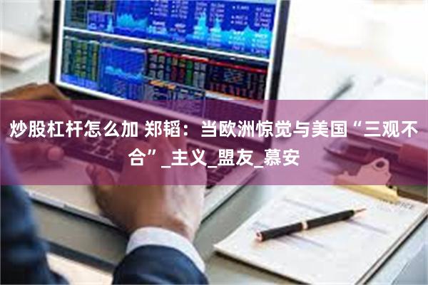 炒股杠杆怎么加 郑韬：当欧洲惊觉与美国“三观不合”_主义_盟友_慕安