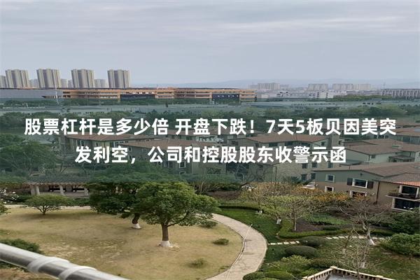 股票杠杆是多少倍 开盘下跌！7天5板贝因美突发利空，公司和控股股东收警示函