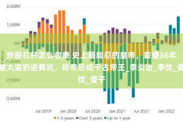 炒股杠杆怎么收费 史上最能忍的皇帝，装傻36年，被太监扔进粪坑，称帝后成千古帝王_李炎治_李忱_傻子