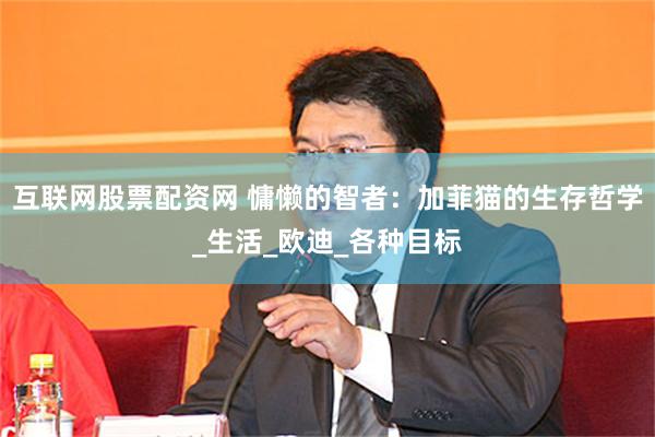 互联网股票配资网 慵懒的智者：加菲猫的生存哲学_生活_欧迪_各种目标