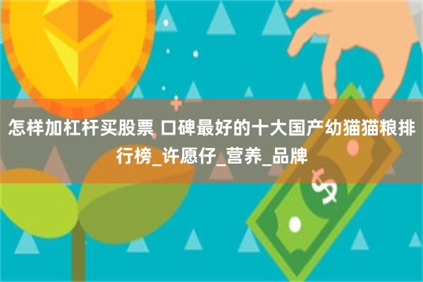 怎样加杠杆买股票 口碑最好的十大国产幼猫猫粮排行榜_许愿仔_营养_品牌
