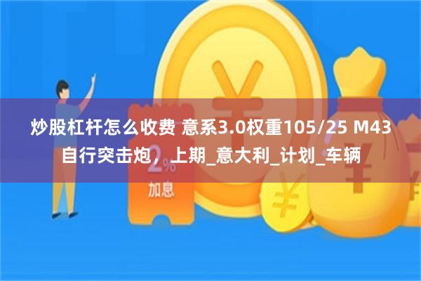 炒股杠杆怎么收费 意系3.0权重105/25 M43自行突击炮，上期_意大利_计划_车辆