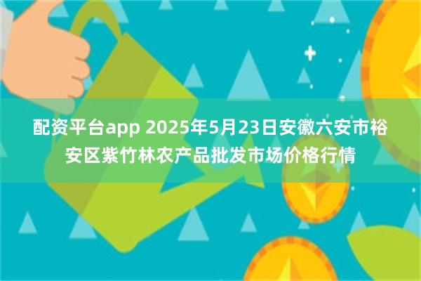 配资平台app 2025年5月23日安徽六安市裕安区紫竹林农产品批发市场价格行情