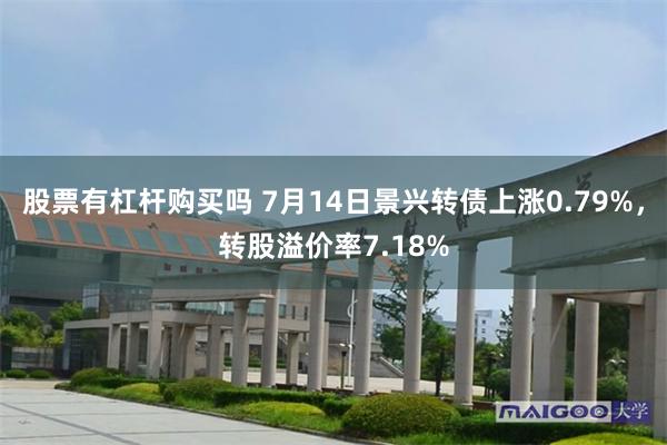 股票有杠杆购买吗 7月14日景兴转债上涨0.79%，转股溢价率7.18%