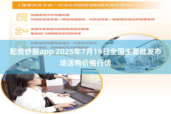 配资炒股app 2025年7月19日全国主要批发市场活鸭价格行情