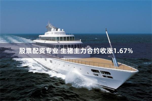 股票配资专业 生猪主力合约收涨1.67%
