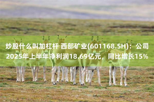 炒股什么叫加杠杆 西部矿业(601168.SH)：公司2025年上半年净利润18.69亿元，同比增长15%