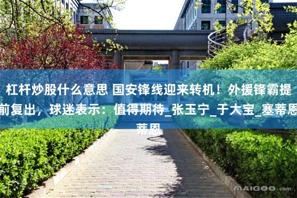 杠杆炒股什么意思 国安锋线迎来转机！外援锋霸提前复出，球迷表示：值得期待_张玉宁_于大宝_塞蒂恩