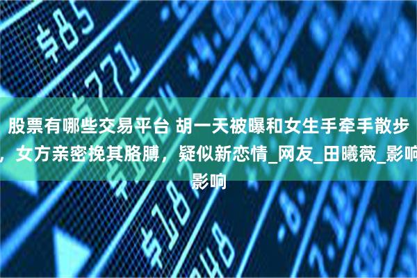 股票有哪些交易平台 胡一天被曝和女生手牵手散步，女方亲密挽其胳膊，疑似新恋情_网友_田曦薇_影响