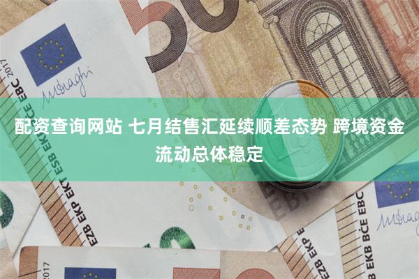配资查询网站 七月结售汇延续顺差态势 跨境资金流动总体稳定
