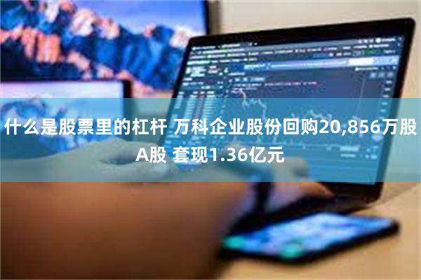 什么是股票里的杠杆 万科企业股份回购20,856万股A股 套现1.36亿元