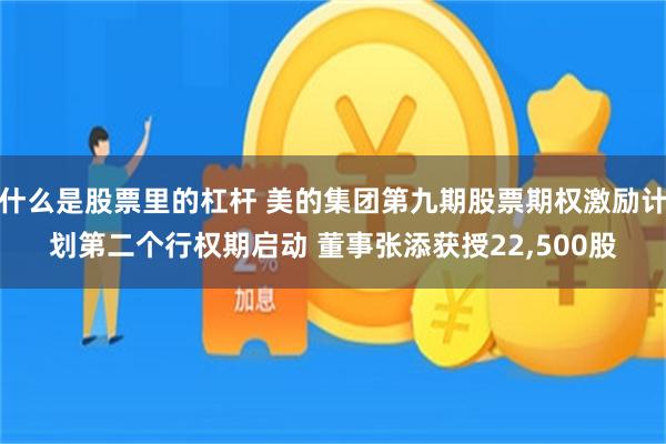 什么是股票里的杠杆 美的集团第九期股票期权激励计划第二个行权期启动 董事张添获授22,500股