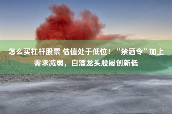 怎么买杠杆股票 估值处于低位!“禁酒令”加上需求减弱,白酒龙头股屡创新低