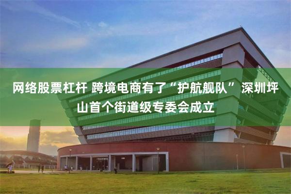 网络股票杠杆 跨境电商有了“护航舰队” 深圳坪山首个街道级专委会成立