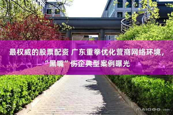 最权威的股票配资 广东重拳优化营商网络环境，“黑嘴”伤企典型案例曝光