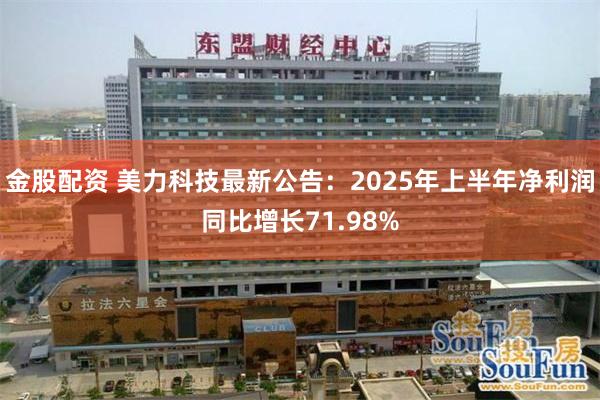 金股配资 美力科技最新公告：2025年上半年净利润同比增长71.98%