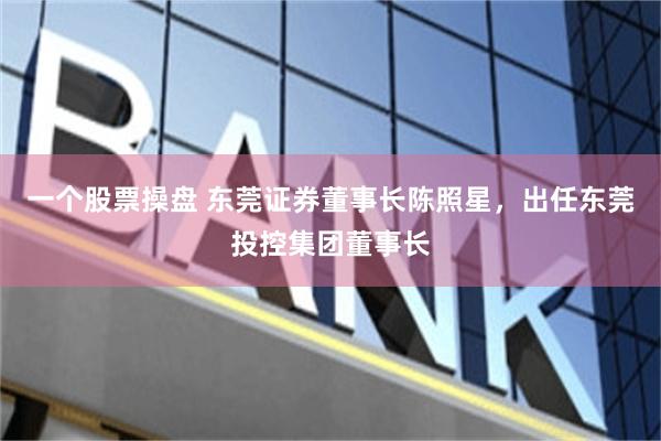 一个股票操盘 东莞证券董事长陈照星，出任东莞投控集团董事长
