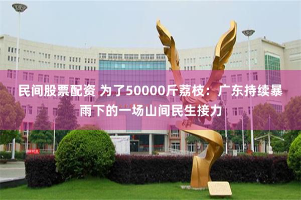 民间股票配资 为了50000斤荔枝:广东持续暴雨下的一场山间民生接力
