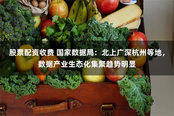 股票配资收费 国家数据局：北上广深杭州等地，数据产业生态化集聚趋势明显