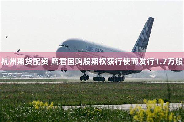 杭州期货配资 鹰君因购股期权获行使而发行1.7万股