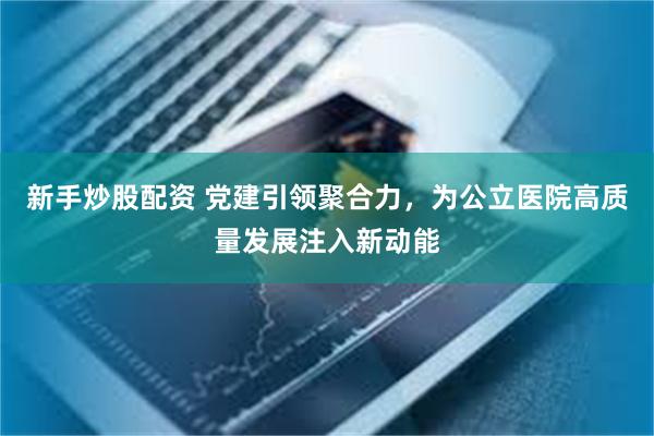 新手炒股配资 党建引领聚合力，为公立医院高质量发展注入新动能