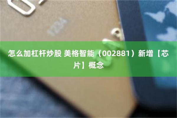 怎么加杠杆炒股 美格智能（002881）新增【芯片】概念