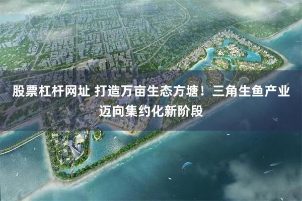股票杠杆网址 打造万亩生态方塘！三角生鱼产业迈向集约化新阶段