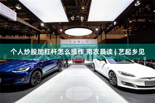 个人炒股加杠杆怎么操作 南农晨读 | 艺起乡见