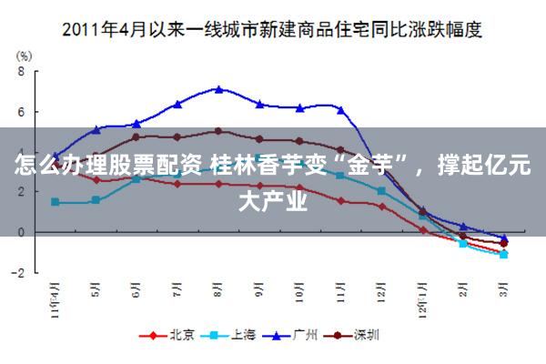怎么办理股票配资 桂林香芋变“金芋”,撑起亿元大产业