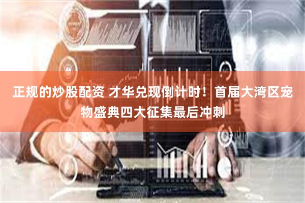 正规的炒股配资 才华兑现倒计时！首届大湾区宠物盛典四大征集最后冲刺