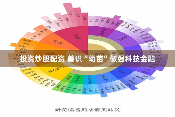 投资炒股配资 善识“幼苗”做强科技金融