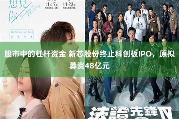 股市中的杠杆资金 新芯股份终止科创板IPO，原拟募资48亿元