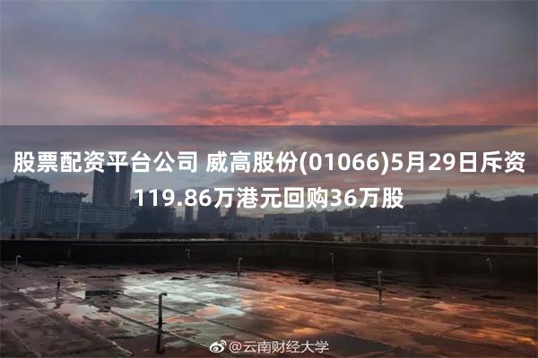 股票配资平台公司 威高股份(01066)5月29日斥资119.86万港元回购36万股