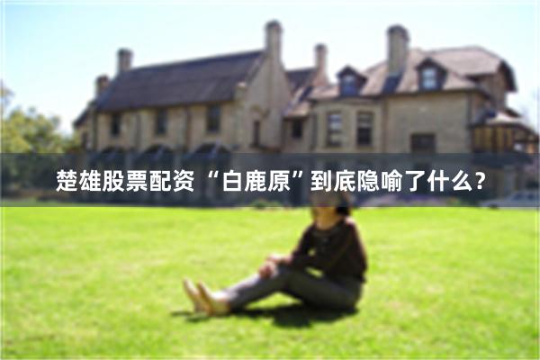 楚雄股票配资 “白鹿原”到底隐喻了什么?