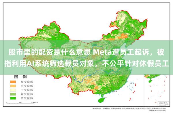 股市里的配资是什么意思 Meta遭员工起诉，被指利用AI系统筛选裁员对象，不公平针对休假员工
