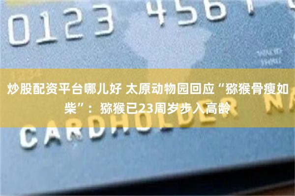 炒股配资平台哪儿好 太原动物园回应“猕猴骨瘦如柴”：猕猴已23周岁步入高龄
