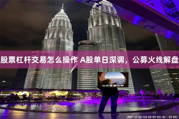 股票杠杆交易怎么操作 A股单日深调,公募火线解盘