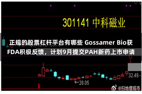 正规的股票杠杆平台有哪些 Gossamer Bio获FDA积极反馈，计划9月提交PAH新药上市申请