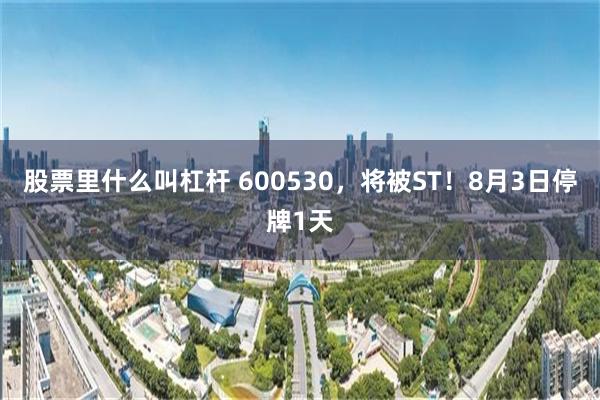 股票里什么叫杠杆 600530，将被ST！8月3日停牌1天